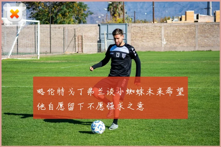 略伦特戈丁弗兰谈小蜘蛛未来希望他自愿留下不愿强求之意